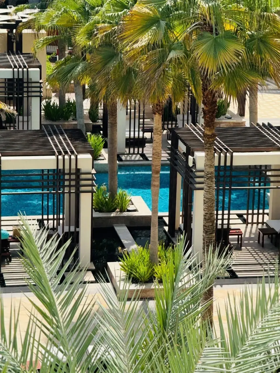 Palm trees and a pool at a resort hotel in Oman.