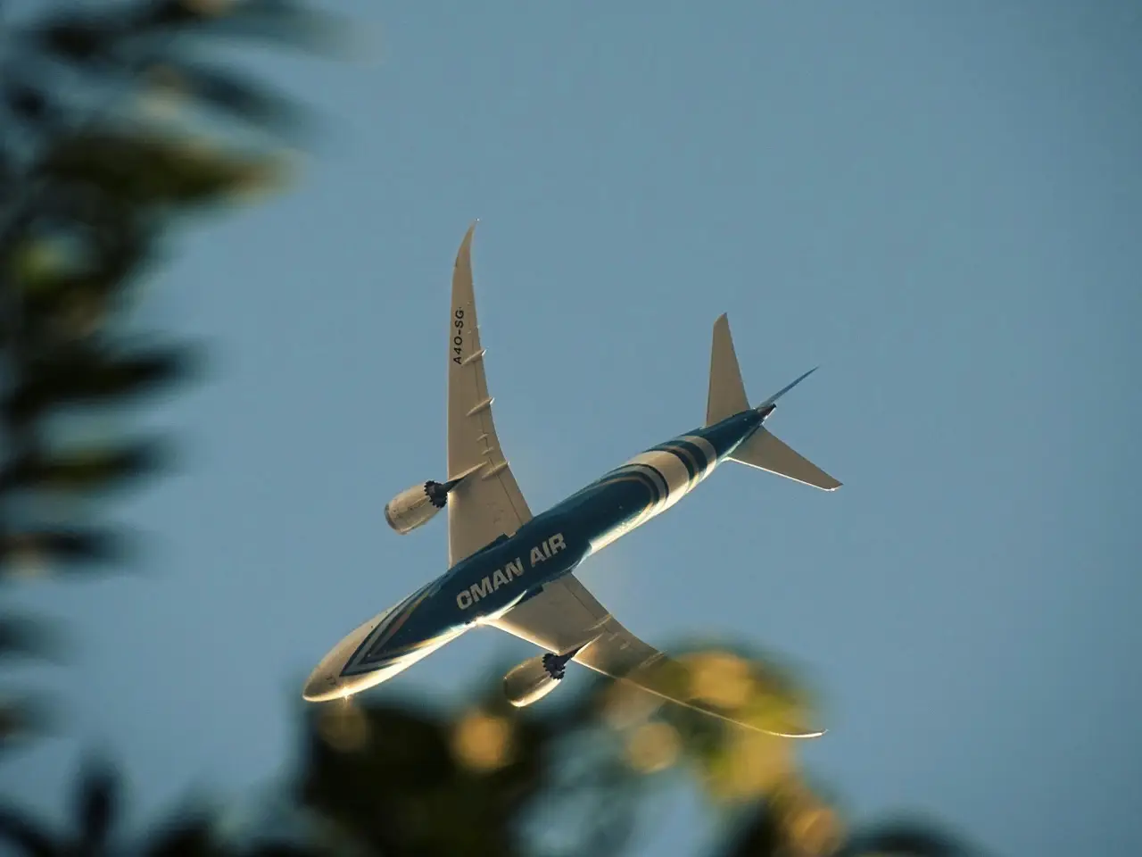 Een vliegtuig van Oman Air vliegt over, gezien door palmbladeren.