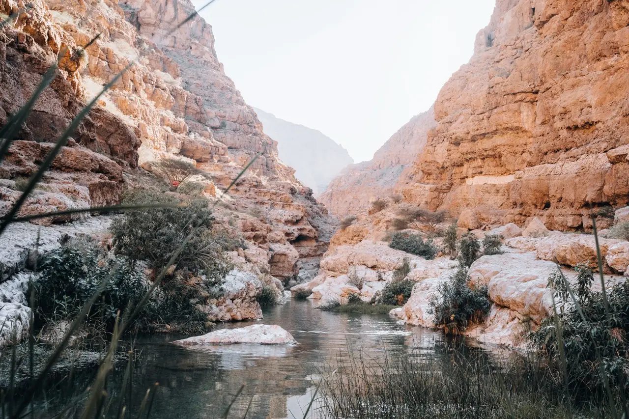 Wadi Shab: pale cliffs above a green pool.